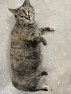 Ralf - Photo 1