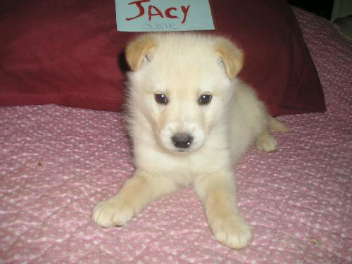 Jacy