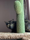 Lagertha - Photo 3