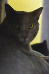 Atlas - Photo 2