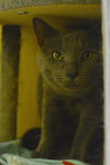 Atlas - Photo 3
