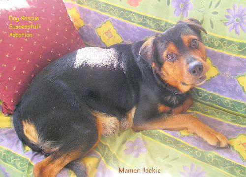 Jackie