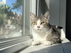 Bulle - Photo 1