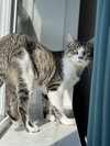 Bulle - Photo 3