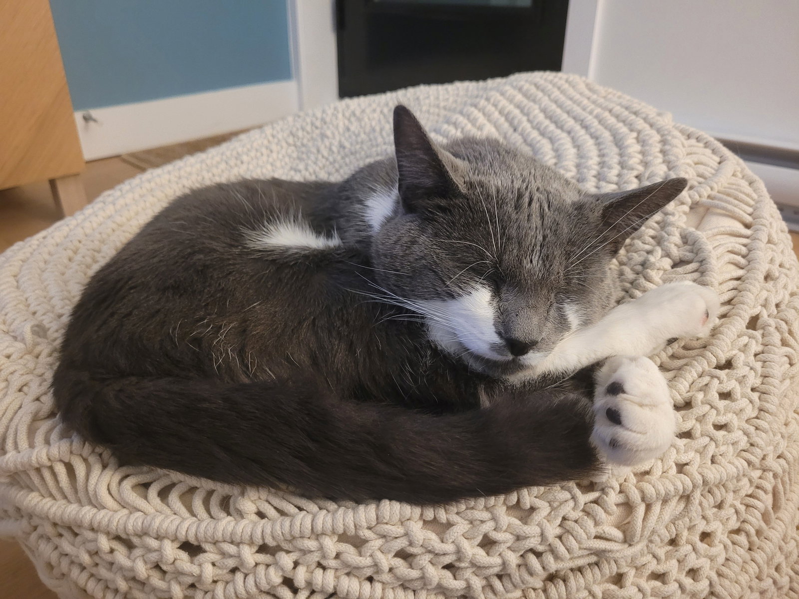 Hugo Image