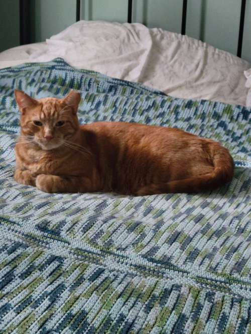 Roux-Roux