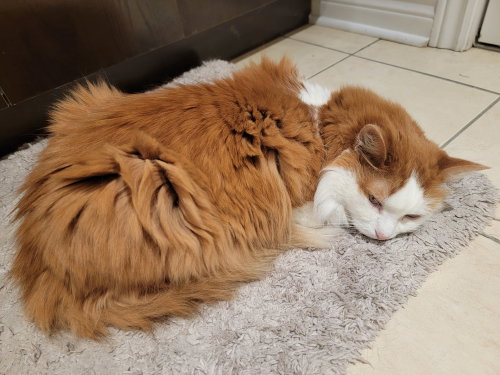 Photo 6 of Lucky