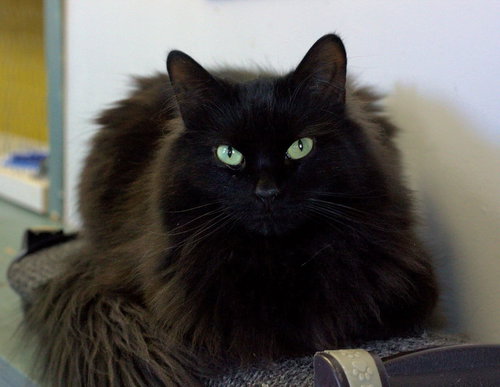 Photo 3 of Kiwi