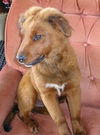 Winnie