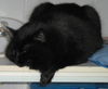 Salem