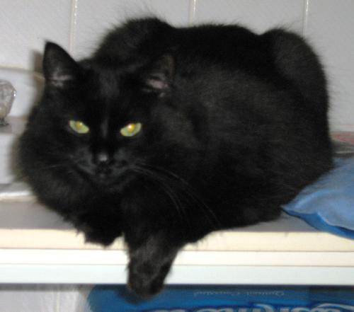 Salem