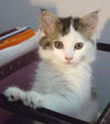 Eloise