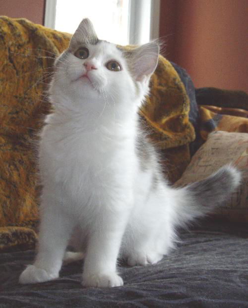 Eloise
