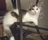 Eloise