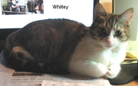 Whitey