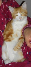 Charlie