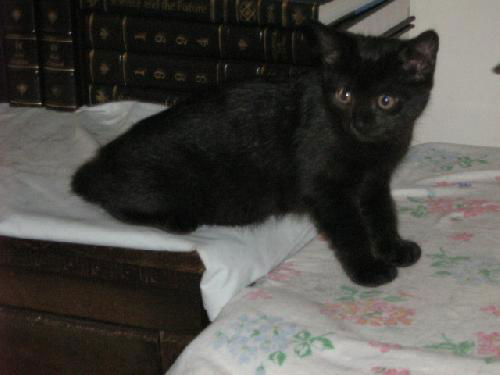 Salem