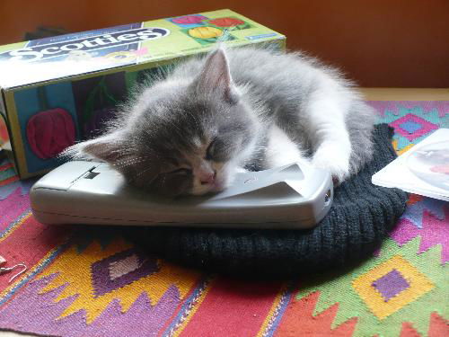 Fluffy