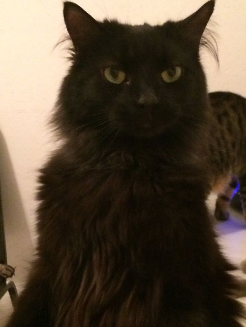 Eliza