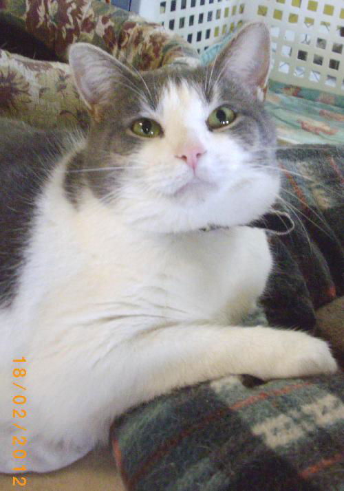 Lilou