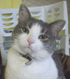 Lilou