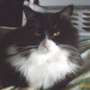 Raoul