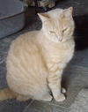Jonah
