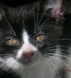 Filippo