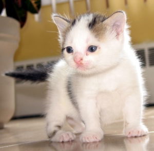 Eloise