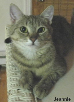 Jeannie