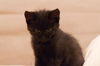 Baby Ellie