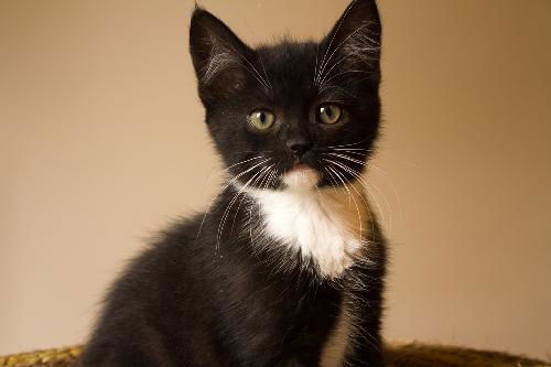 Baby Maggie