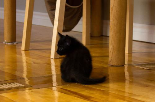 Baby Zoe