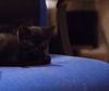 Baby Zoe