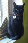 Salem