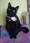 Salem