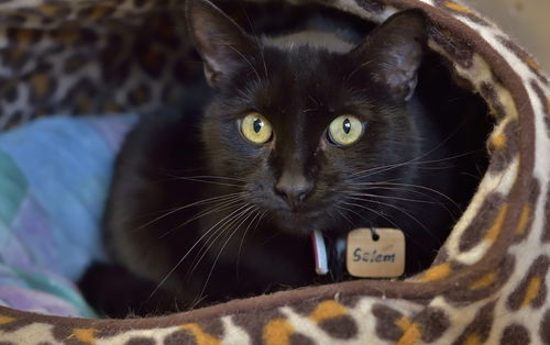 Salem