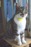 Juliette-B