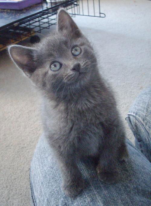 Sam