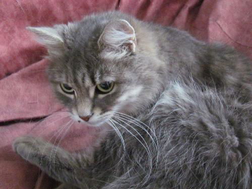 Hermione