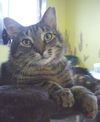Leonard