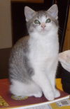 Emme