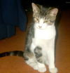Shiloh