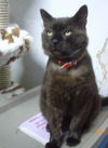 Emile