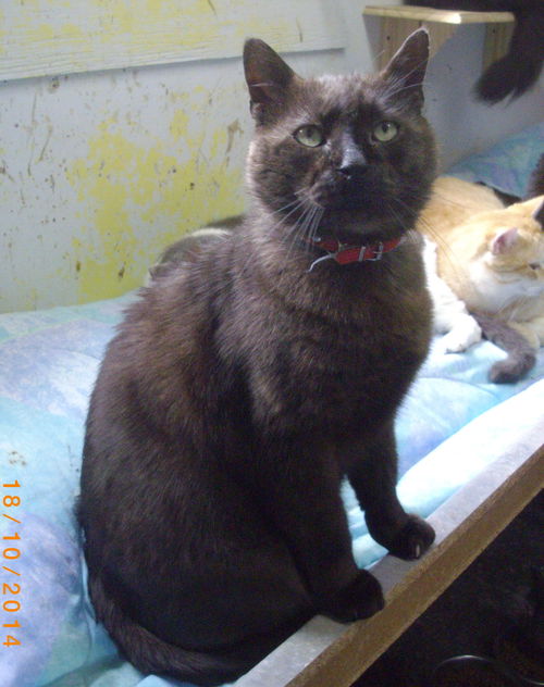 Emile