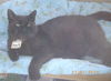 Emile