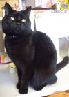 Onyx