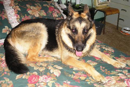 Nicky