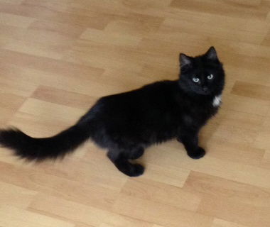 Fluffy