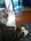 Nicky